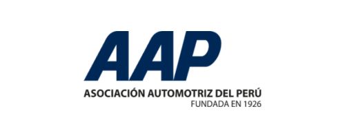 AAP Logo